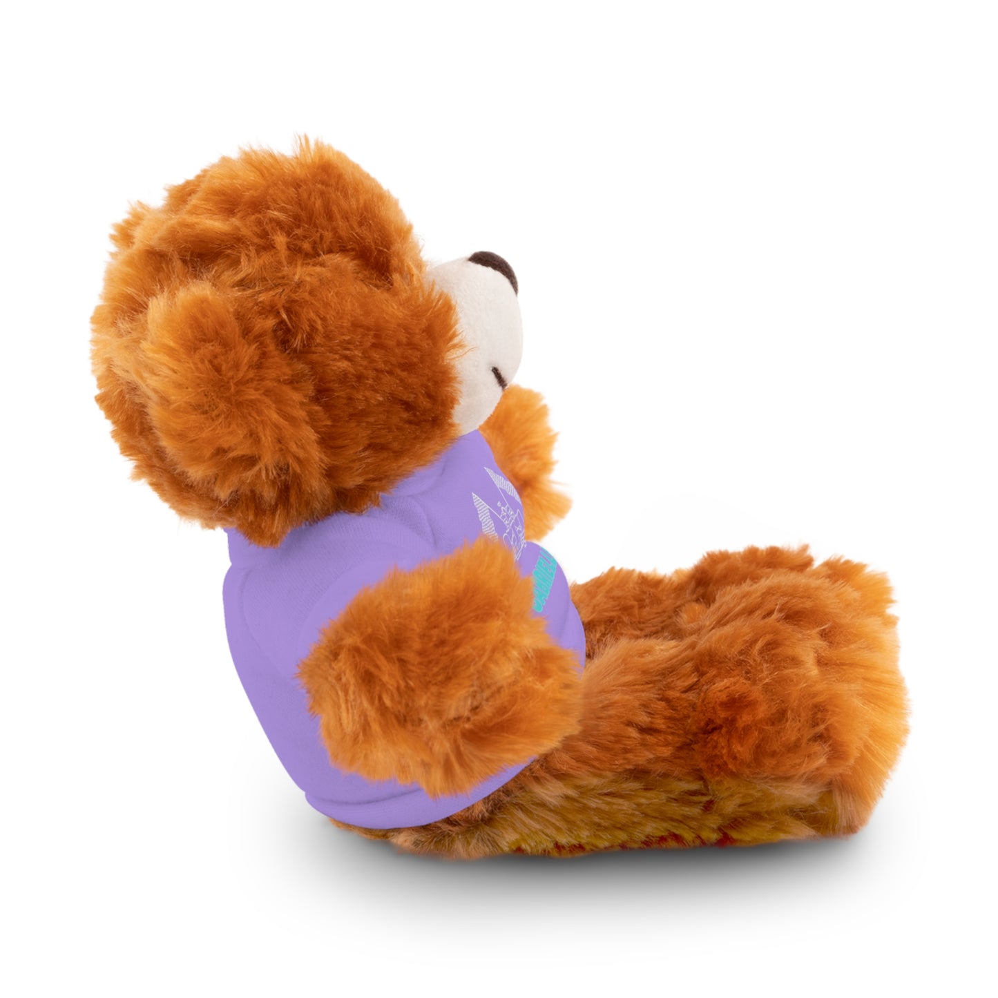 Personalized Race Car Stuffed Animals with T-Shirt
