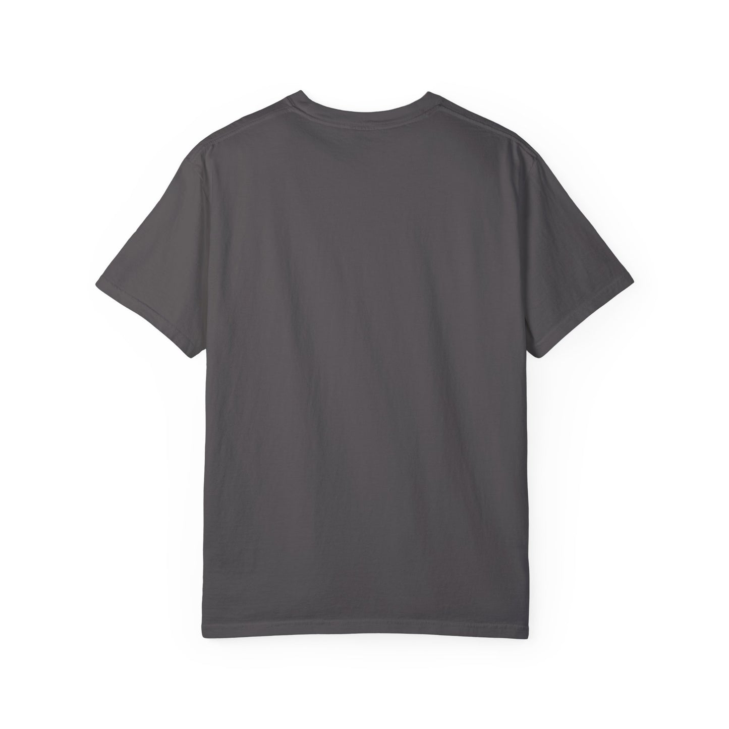 I'm A Formula 1 Fan Of Course I Measure Distance in Pit Stops T-Shirt