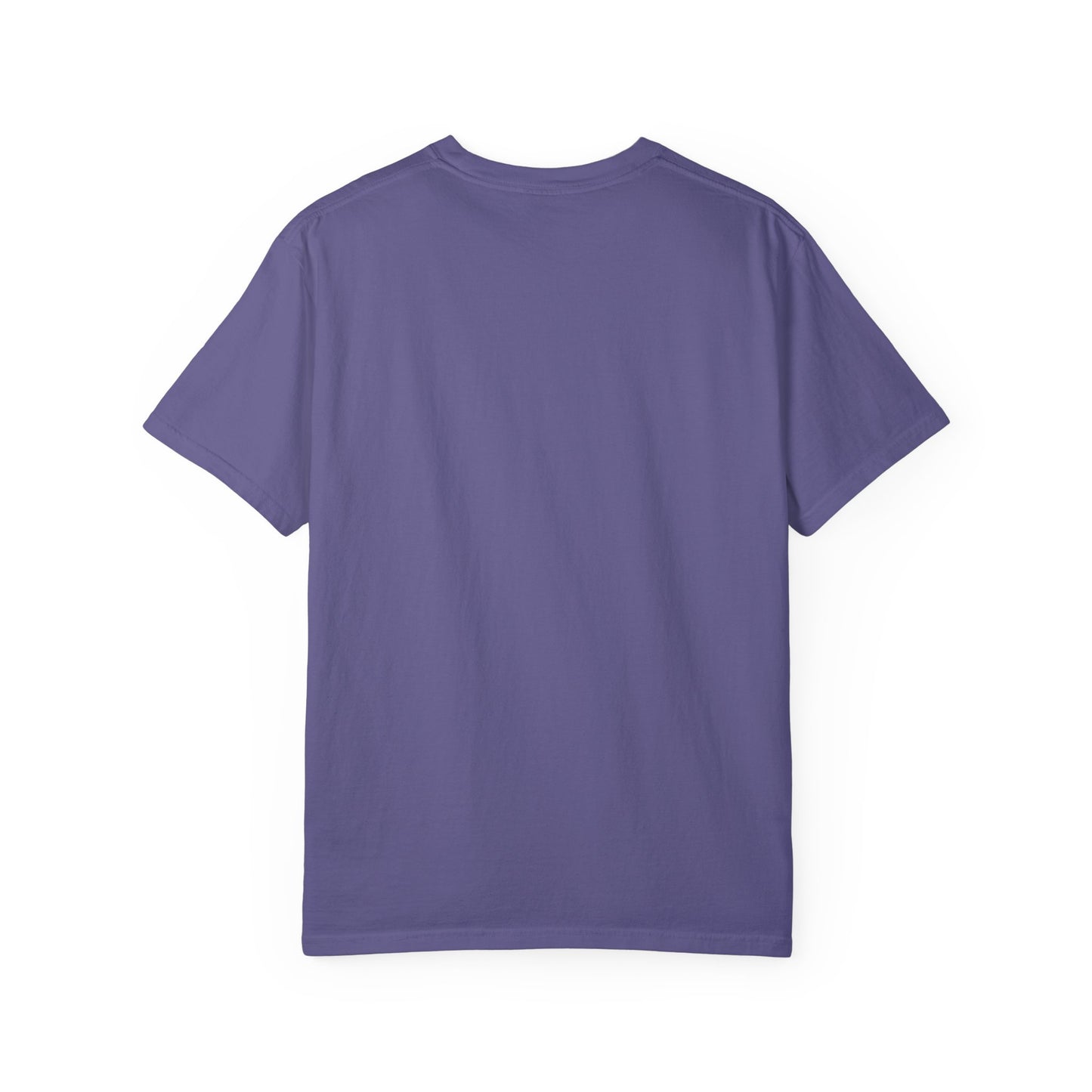 I'm A Formula 1 Fan Of Course I Measure Distance in Pit Stops T-Shirt