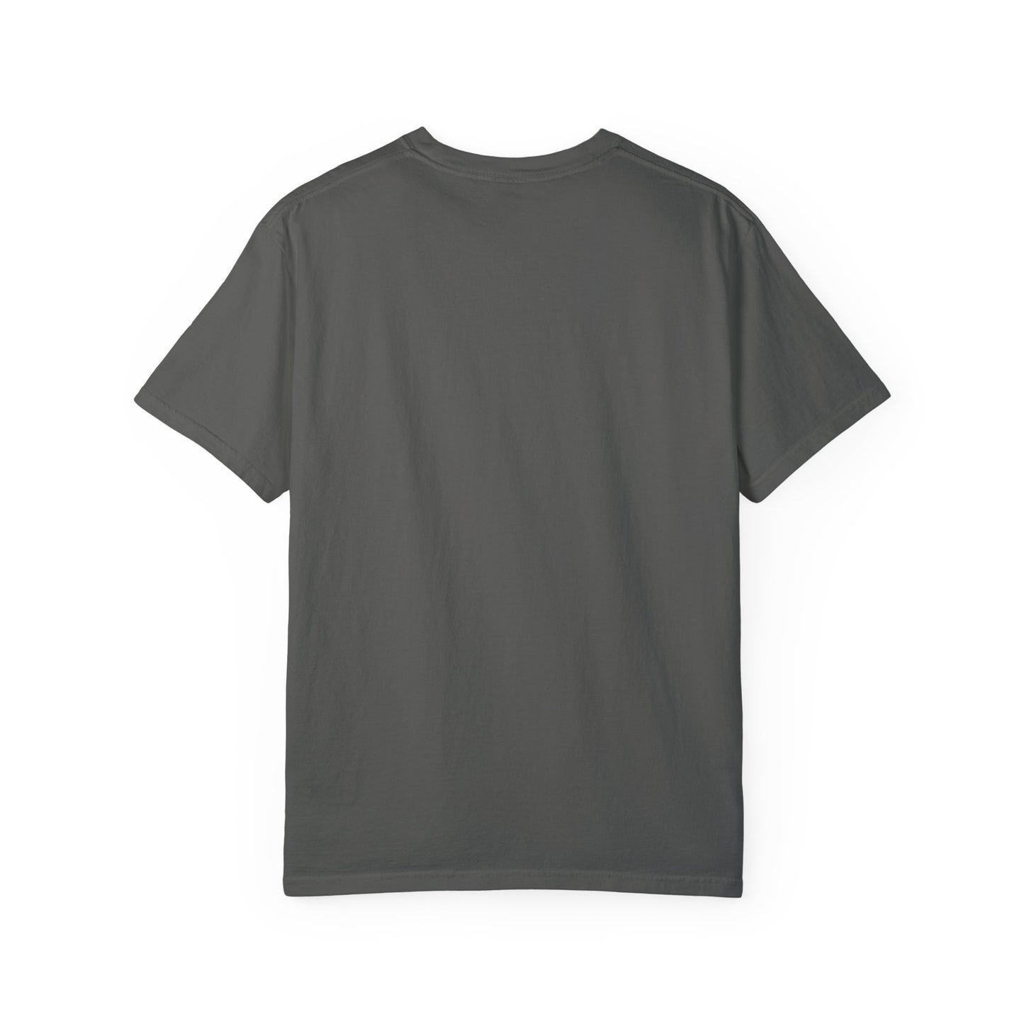 I'm A Formula 1 Fan Of Course I Measure Distance in Pit Stops T-Shirt