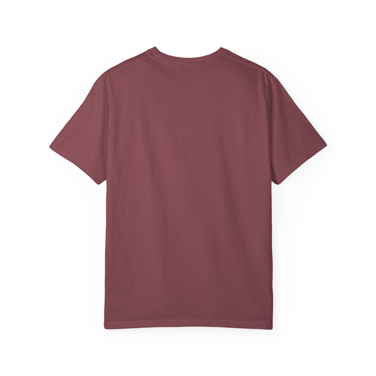 I'm A Formula 1 Fan Of Course I Measure Distance in Pit Stops T-Shirt