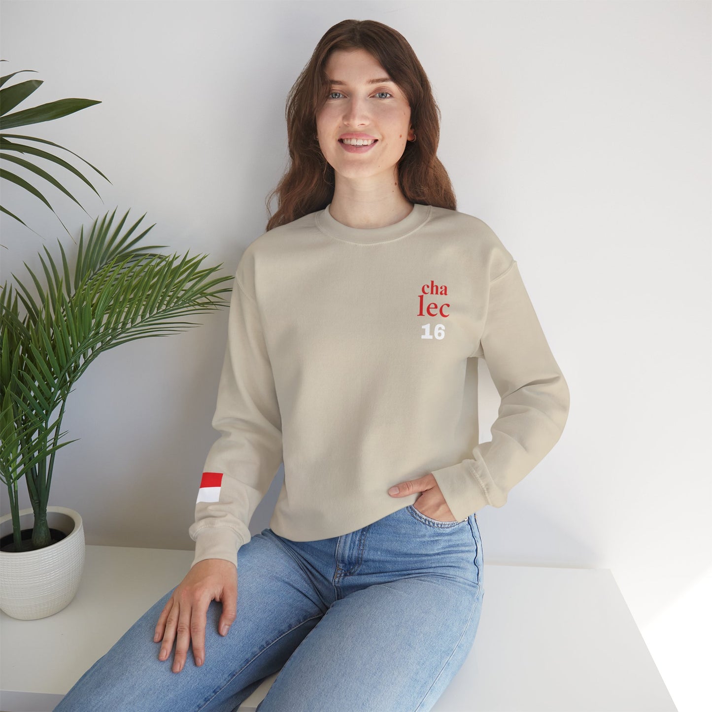 Formula 1 Charles Leclerc Sweatshirt with Monaco Flag on Sleeve