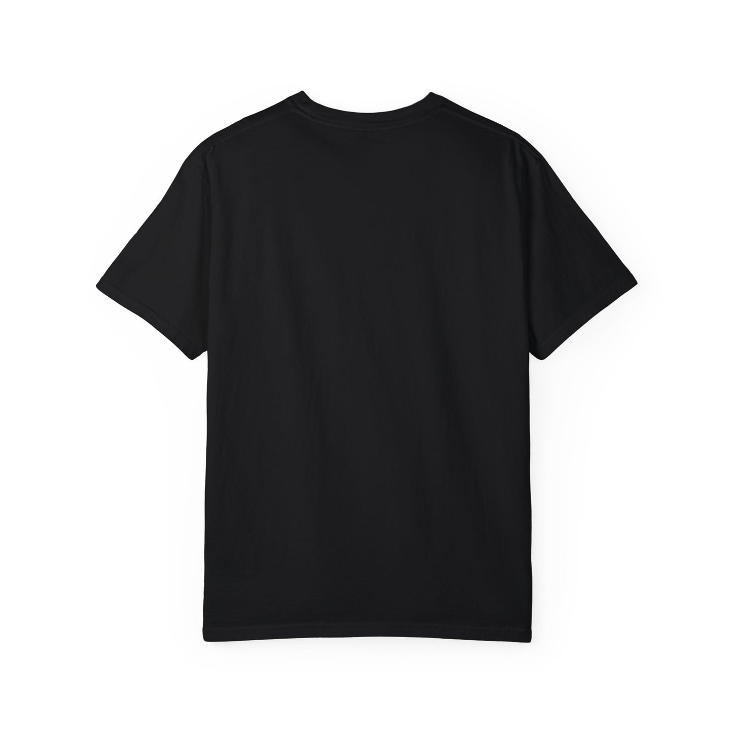 I'm A Formula 1 Fan Of Course I Measure Distance in Pit Stops T-Shirt